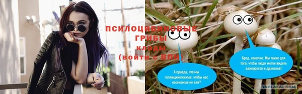прущая мука Вяземский