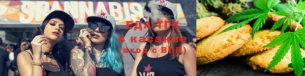 гашик Вязники