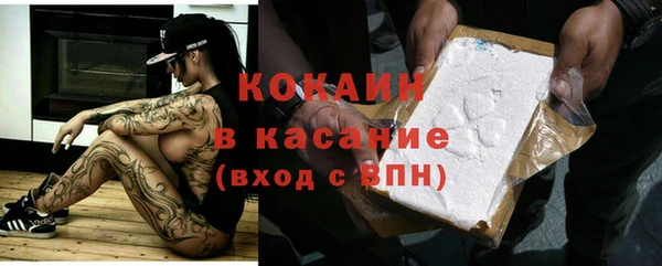 прущая мука Вяземский