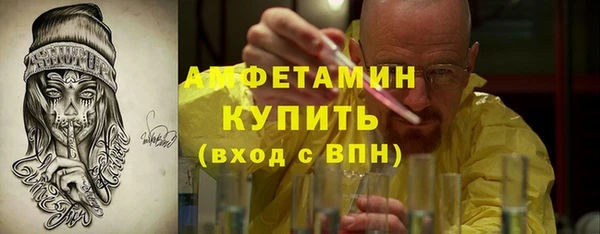прущая мука Вяземский