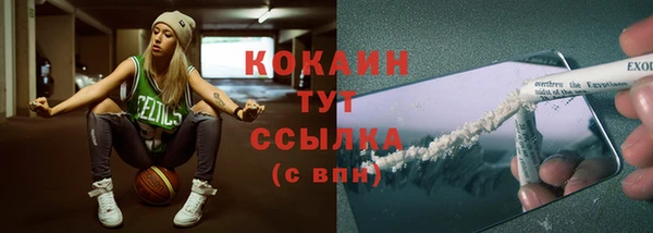 гашик Вязники