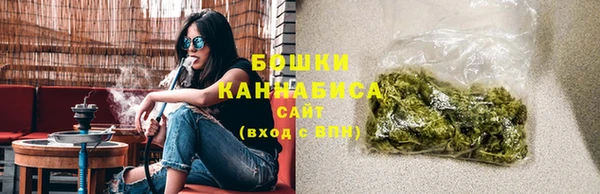 прущая мука Вяземский