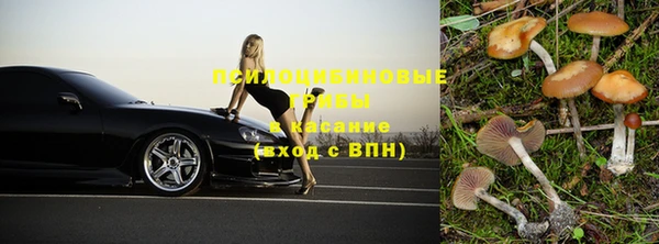 гашик Вязники
