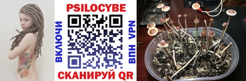 Купить  Медынь  Галлюциногенные грибы MAGIC MUSHROOMS 